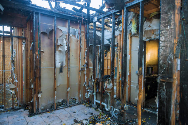 Professional Odor Removal technician working in Woodsville, NH